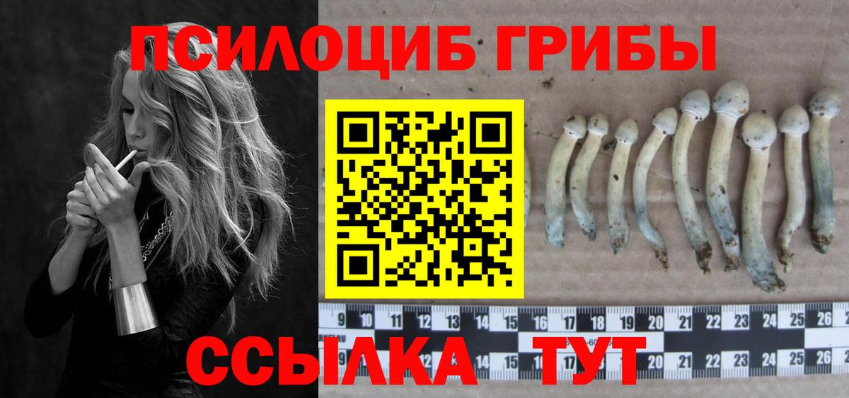 Псилоцибиновые грибы Magic Shrooms  Вход с VPN  Галлюциногенные грибы Magic Shrooms  Химки 